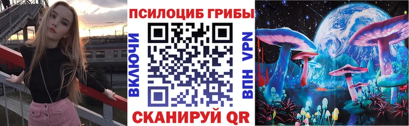 Галлюциногенные грибы Psilocybine cubensis  Суровикино 